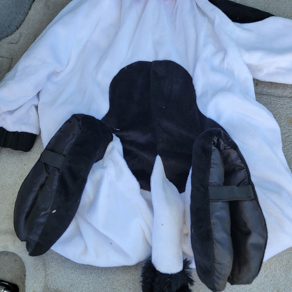Cow Costume - Picture 5 of 5